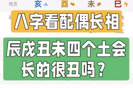 八字四个土