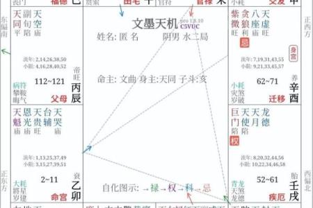 紫薇斗数看年纪