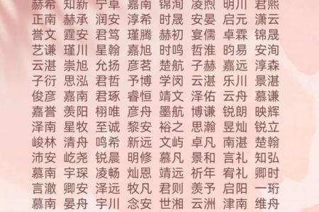 2019年3月23号卯时出生的男孩如何起名姓名