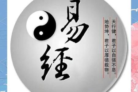 八卦与八字