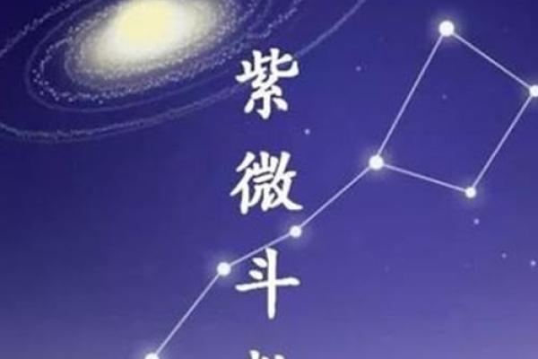 紫微杨紫微斗数 杨紫紫薇？