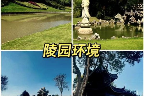 好风水的房子_四面环水的楼盘风水好吗