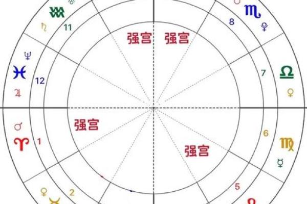 紫微斗数命盘解析：十二宫位