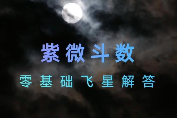 紫薇斗数手机排版