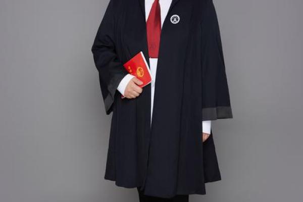 紫薇斗数律师
