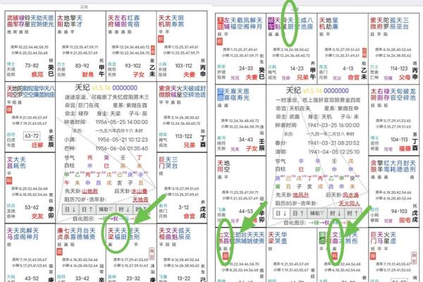 紫微斗数术语解释之：对星