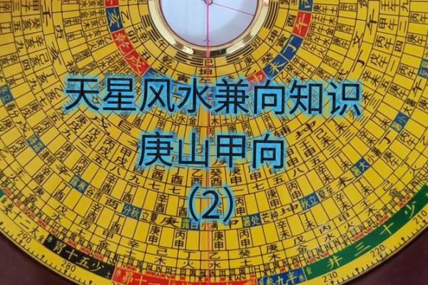 天星风水张子成风水