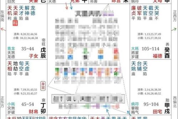 紫薇斗数网站在线排盘