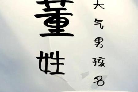 董姓男孩名字大全-董姓男孩起名字大全-董姓名字大全姓名