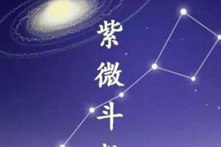 紫微杨紫微斗数 杨紫紫薇？