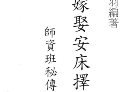 陈巃羽紫微斗数09年版 陈龙羽2009紫微斗数？