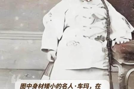 身材矮小的八字特征