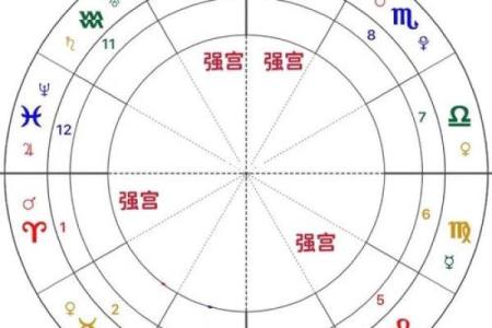 紫微斗数命盘解析：十二宫位