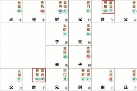 紫微斗数诸星落诸宫之：廉贞星官禄宫详解