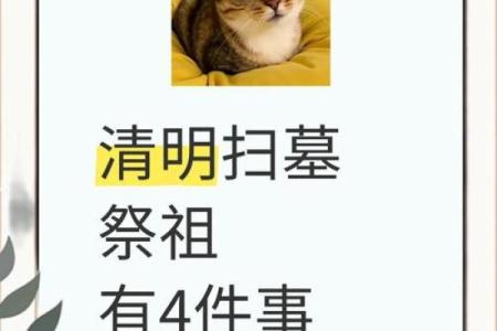清明节扫墓需要注意的风水事项