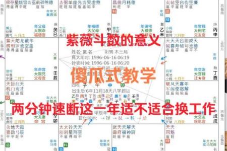 紫薇斗数适合做什么行业