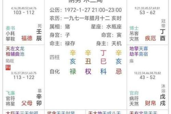 八字紫微星是什么意思