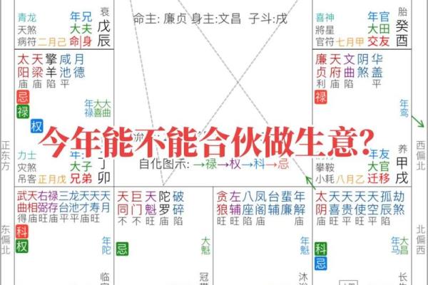 紫薇斗数看投资