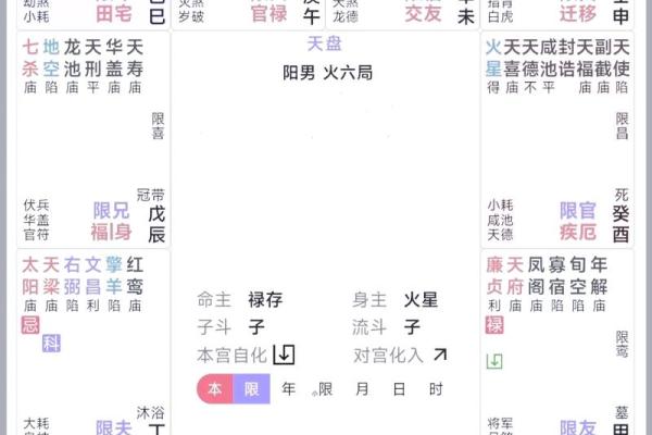 紫微斗数大限紫薇天相