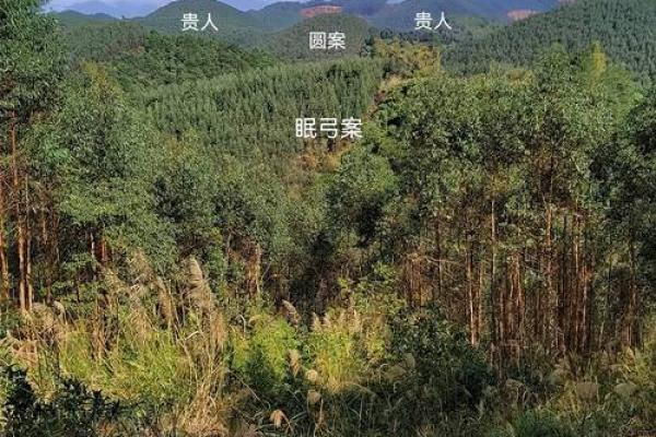发财最猛的祖坟风水