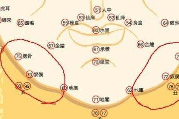 紫微斗数诸星落诸宫之:紫微星奴仆宫详解 紫微斗数诸星落诸宫之:紫微星奴仆宫详解