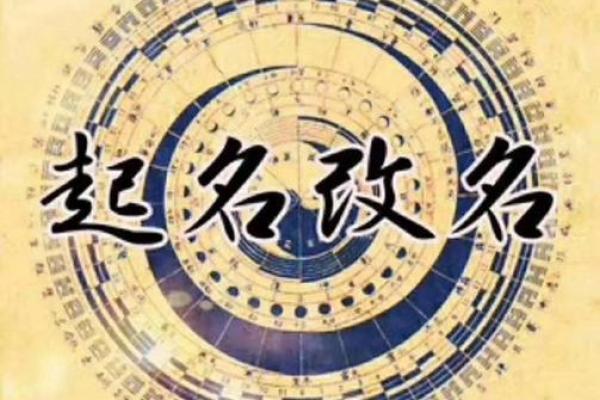 姓戴的名人-姓名学-华易算命网姓名
