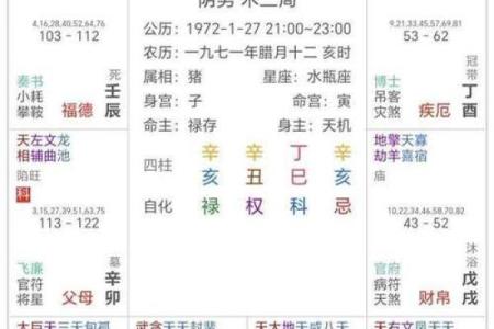 八字紫微星是什么意思