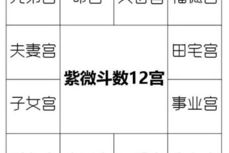 紫薇斗数怎么看另一半长相