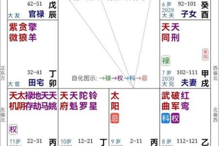 紫薇斗数流曜
