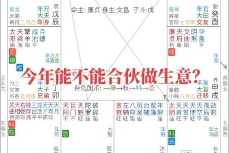 紫薇斗数看投资