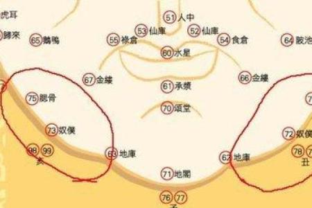 紫微斗数诸星落诸宫之：紫微星奴仆宫详解