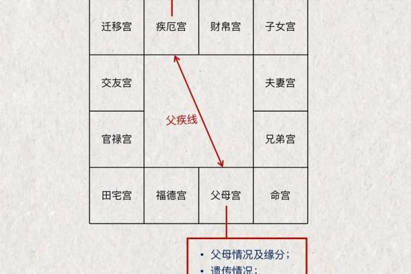 紫薇斗数成就