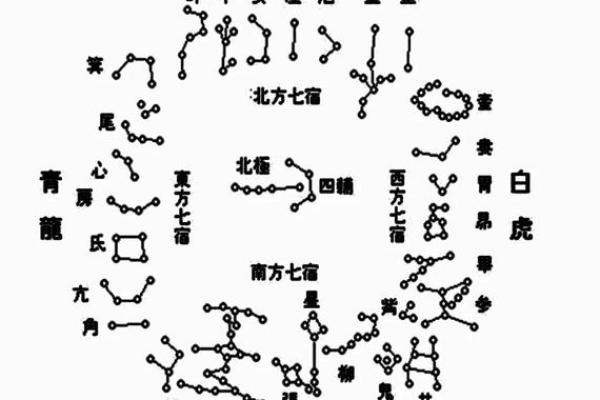 紫薇斗数成就
