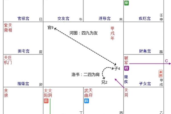 紫薇斗数无格局