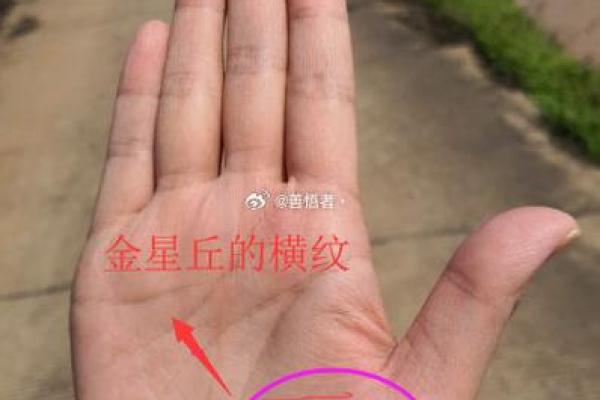 小说：高人给姚家两个新生儿算命，命格完全相反，老夫人一脸了然