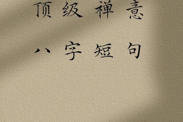 八字读书