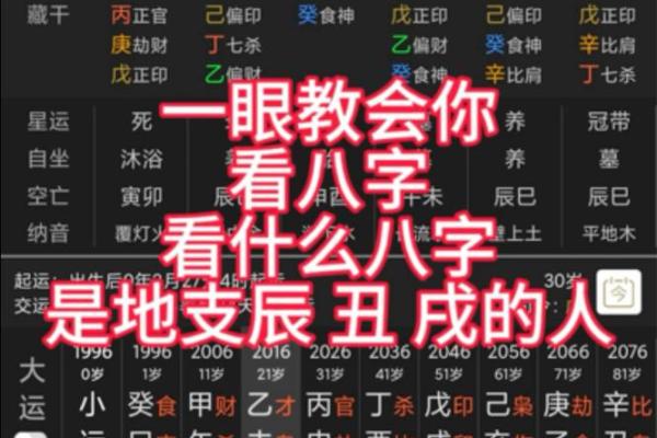 八字丑中含