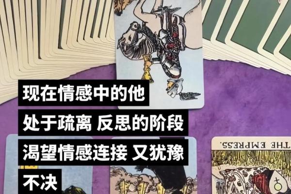 塔罗测试命中注定的伴侣