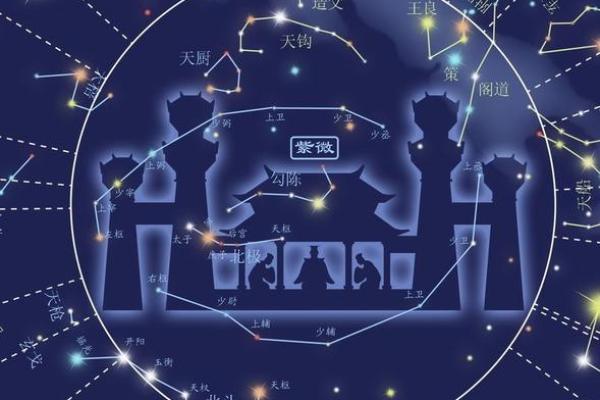 紫薇斗数丙干宫