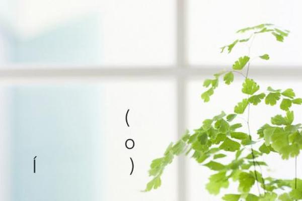 灵签选择