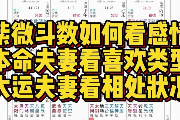 紫薇斗数嫁得好