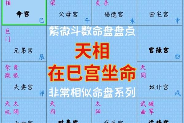 如何看紫薇星在什么宫