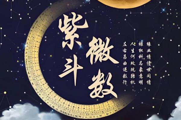 知否科技紫薇斗数