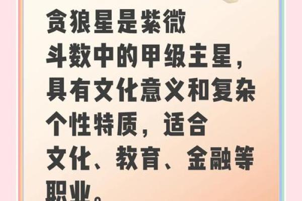 紫薇斗数解读，廉贞贪狼性格解读