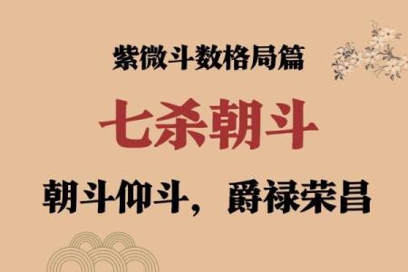 紫薇斗数部下七杀