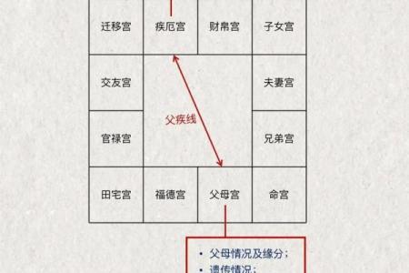 紫薇斗数成就