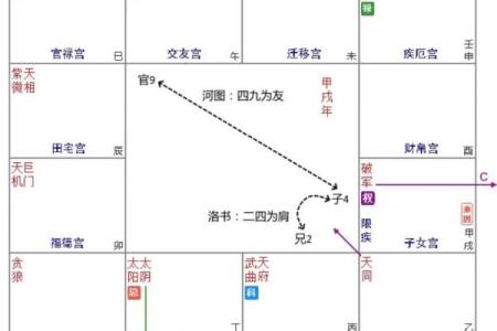 紫薇斗数无格局