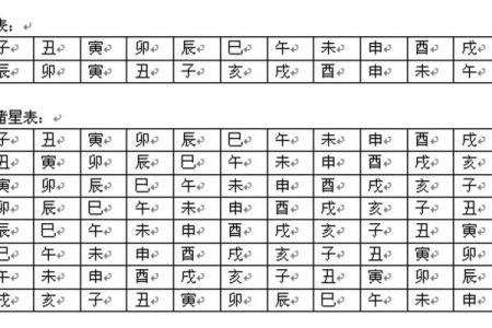紫薇斗数天府男