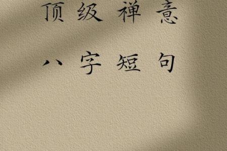 八字读书