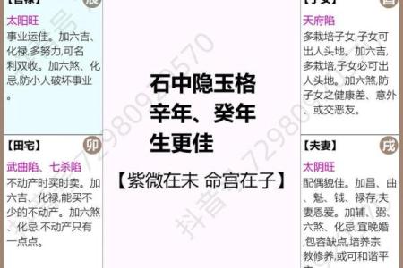 紫微斗数之财帛宫与诸星，贪狼星在财帛宫是什么意思？